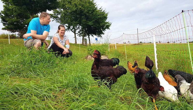 Eine Frau und ein Mann hocken auf einer Wiese vor einer Gruppe von Hühnern